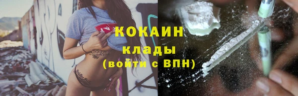 прущая мука Гусев
