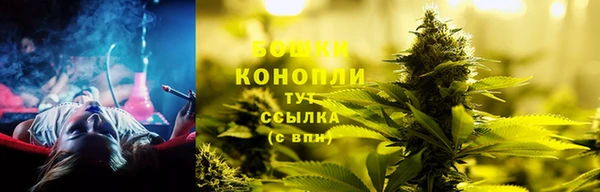 2c-b Гусиноозёрск